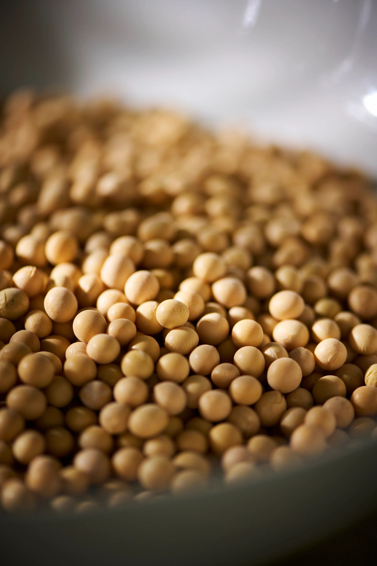 Innerspeech Photography