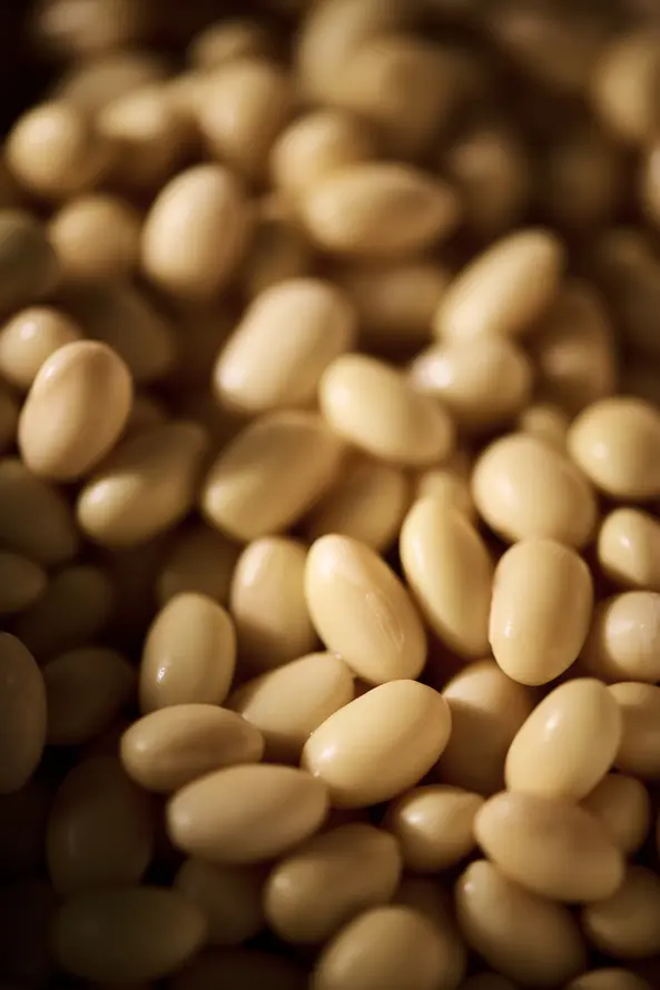 Tofu DIY - Food Photography